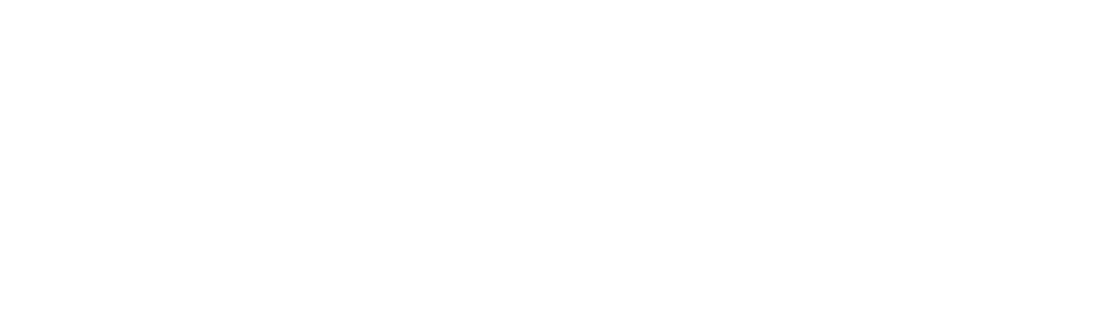 Spicenet Wordmark